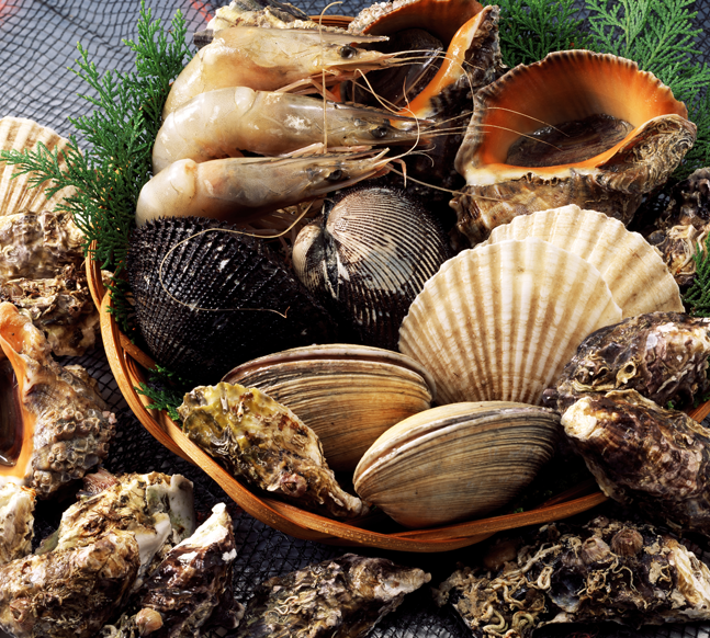 Shellfish