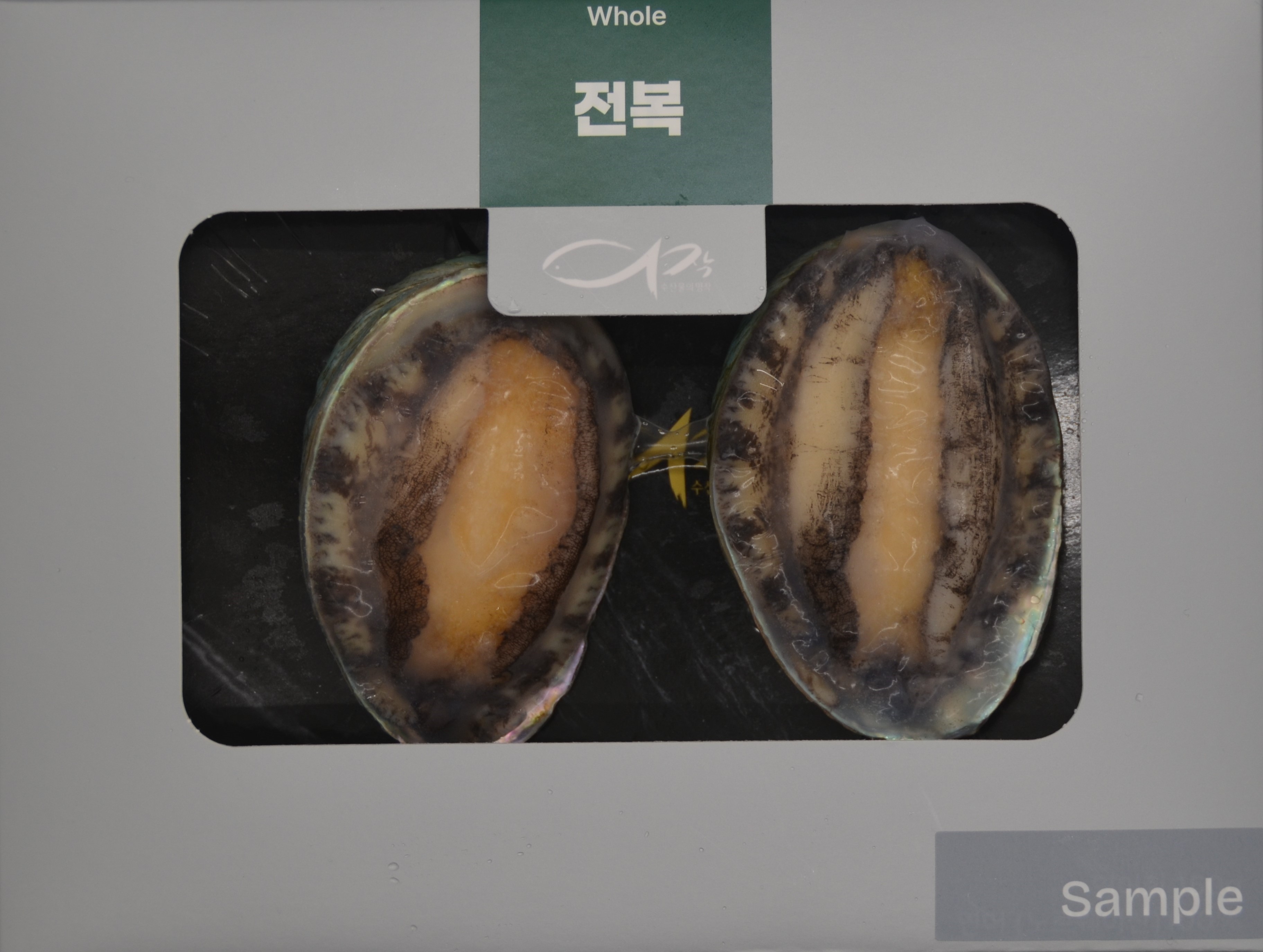 Abalone